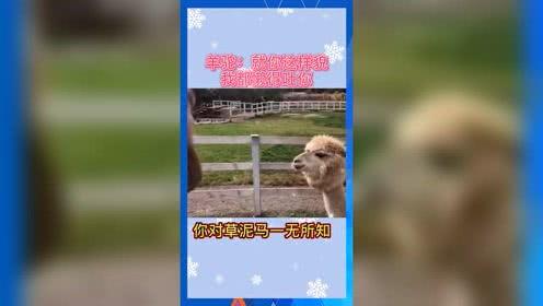 娱乐吃瓜Jerry,Jerry带你领略娱乐圈的趣味瞬间