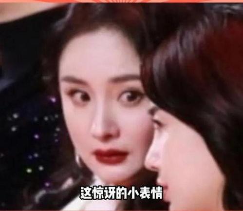 娱乐圈互相吃瓜的小说,瓜田李下，明星们的秘密花园